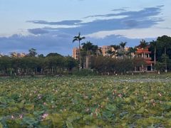 -梅州天地人花园酒店(梅县人民广场店)