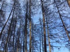 -硗碛藏寨·神木垒景区