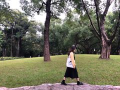 -晓港公园