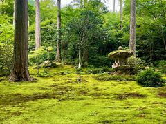 -三千院
