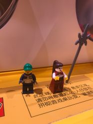 -乐高授权专卖店(朝阳大悦城店)