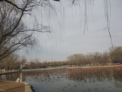 -廊坊市自然公园