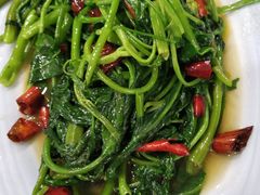 空心菜-小唐小四川水煮鱼(北三路店)