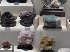 -安徽省地质博物馆