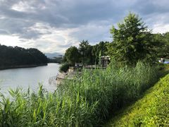 -饮湖威士忌鸡尾酒吧