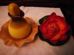 -源素美容养生会所