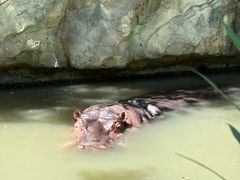 -宁波野生动物园