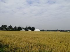 -中国天府农业博览园