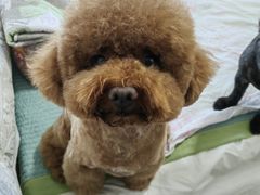 -宠福鑫康馨动物医院·骨科·眼科