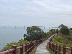 -大澳
