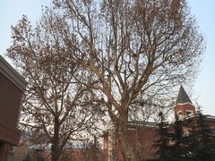 -大连市第二十四中学