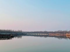 -西青郊野公园