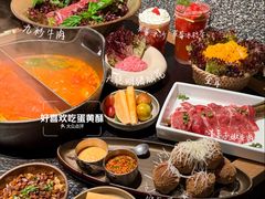 -大龙燚·旷野鲜火锅(广州首店)