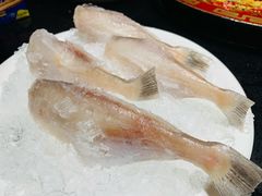 大耗儿鱼-矮板凳老火锅(宽窄巷子店)