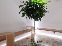 -光作面包Voila Lumiere(中山店)