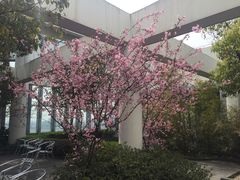 -同济大学图书馆(嘉定校区)