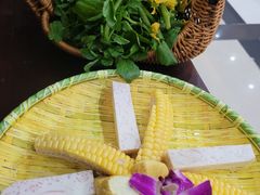 -墨脱石锅椰子鸡•香草鸭•东山羊(大东海店)