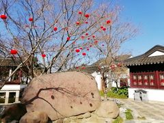 -枫桥景区