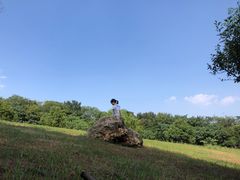 -羊山湖公园