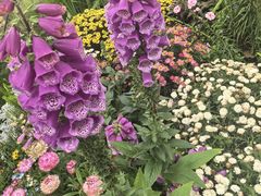 -苏州上方山国家森林公园