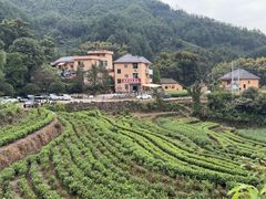 -杨家堂村