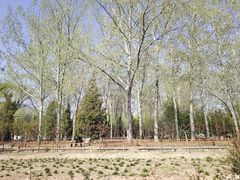 -森林公园(尖草坪区)