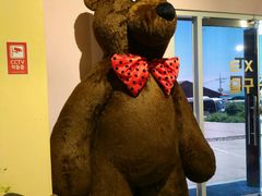 -济州岛泰迪熊博物馆