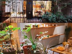 -柴务处·柴犬主题狗咖