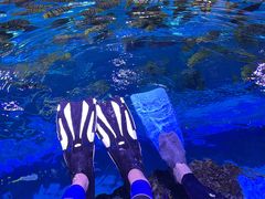 -成都浩海立方海洋公园