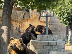 -南京金牛湖风景区