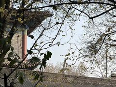 -西安大兴善寺