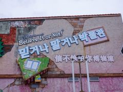 -信不信由你博物馆