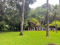-中国科学院西双版纳热带植物园