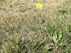 -济南国际园博园