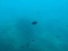 -亚龙湾海底世界