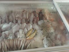 -迈臣农家乐