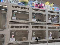 -唐小姐の私宠·宠物洗护美容·撸猫馆·购宠(周浦万达旗舰店)