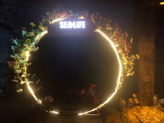 -沈阳海洋探索中心