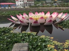 -帽儿山风景区