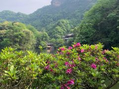 -青城山