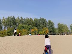 -东郊湿地公园