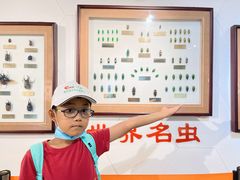 -上海昆虫博物馆