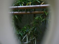 -嘉定博物馆