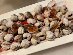 -华盛丰温州大排档(东三环南路店)