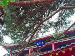 -北山公园