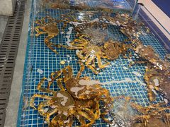 -禄海渔港(九堡店)