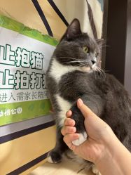 -小象动悟公园(龙湖亦庄天街店)
