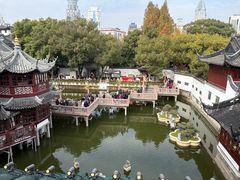 -绿波廊(豫园店)