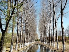 -东郊湿地公园