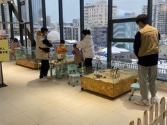 -怪兽屋·羊驼·猫咖·狗咖(俊华广场店)